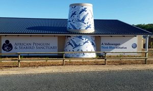  African Penguin & Seabird Sanctuary